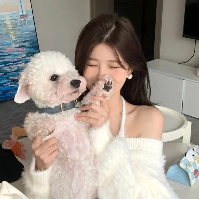 蓝徽特攻队